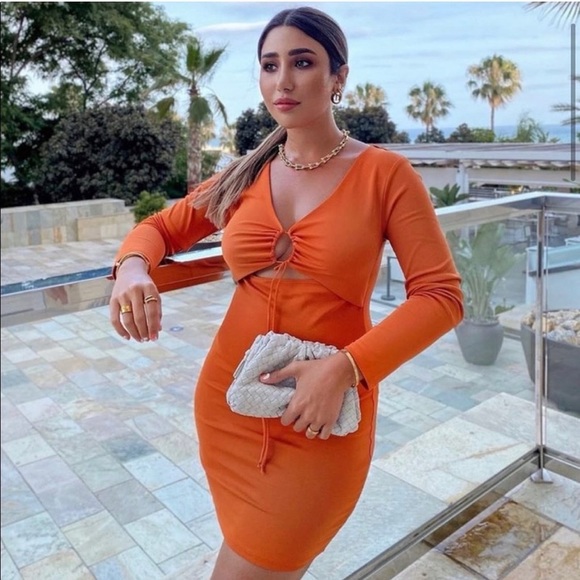 Zara Bodycon Dress - Picture 3 of 6